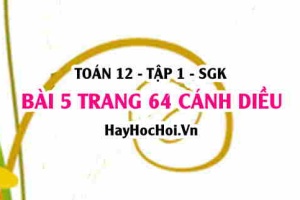 Bài 5 trang 64 Toán 12 tập 1 Cánh Diều